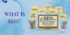 What Is SEO? Definition, How It Works & Jobs in India
